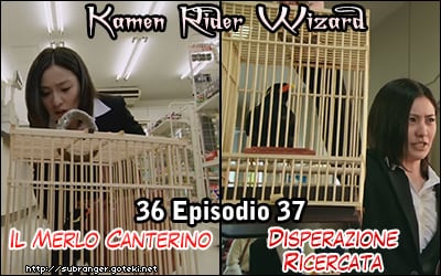 zarro36-37