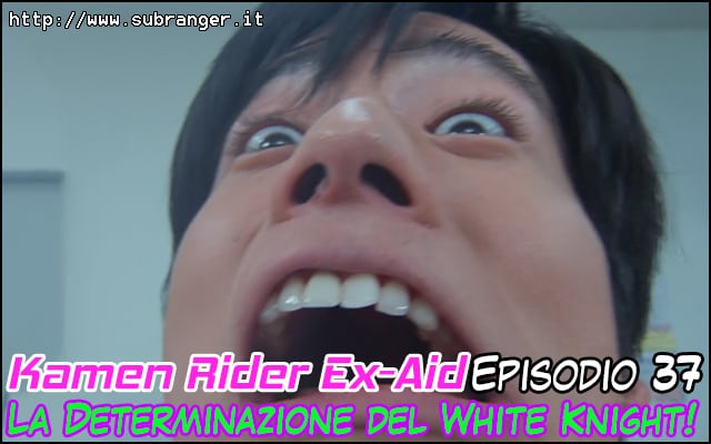 exaid37